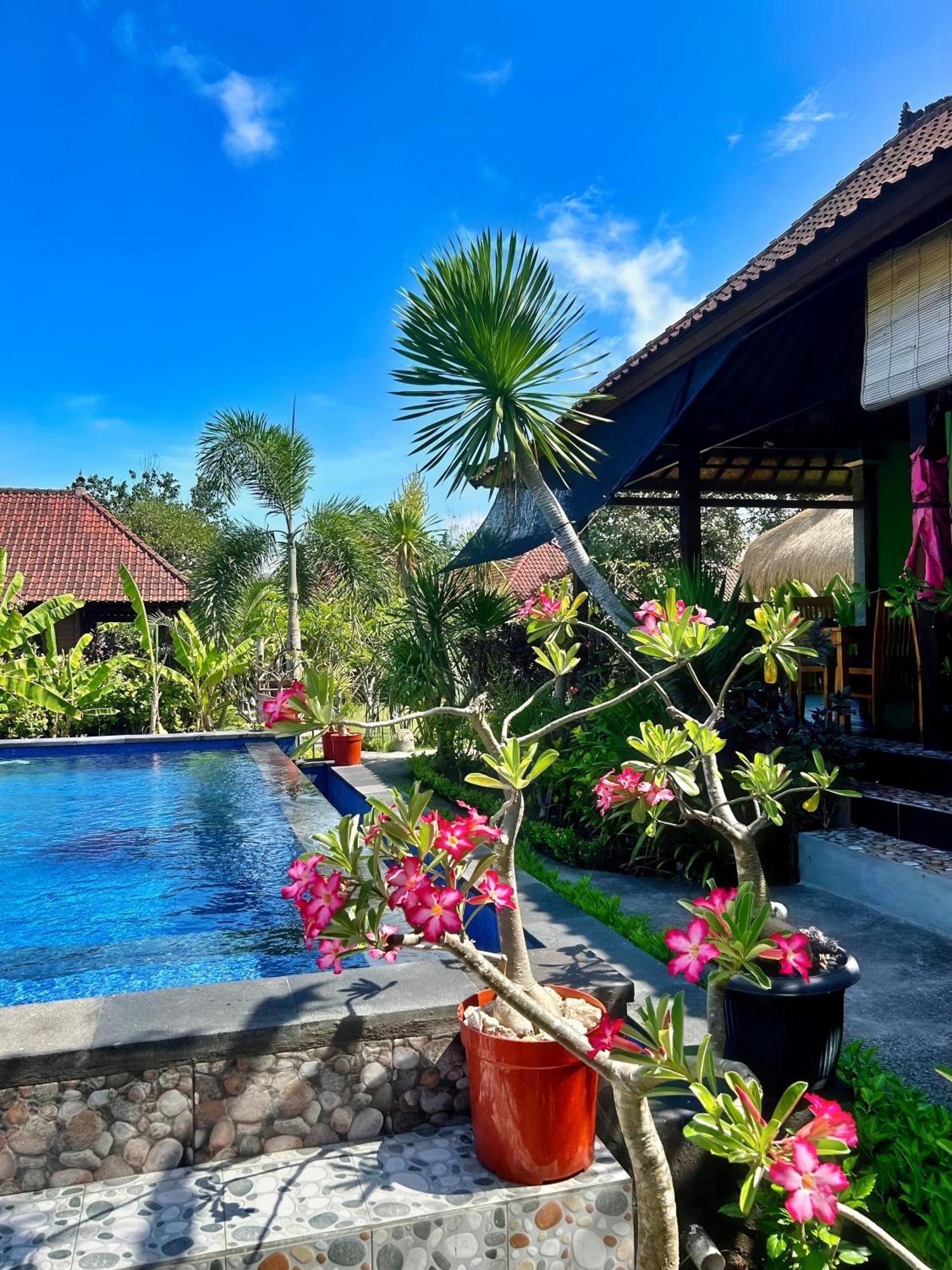 Island Garden Huts Lembongan B&B 외부 사진