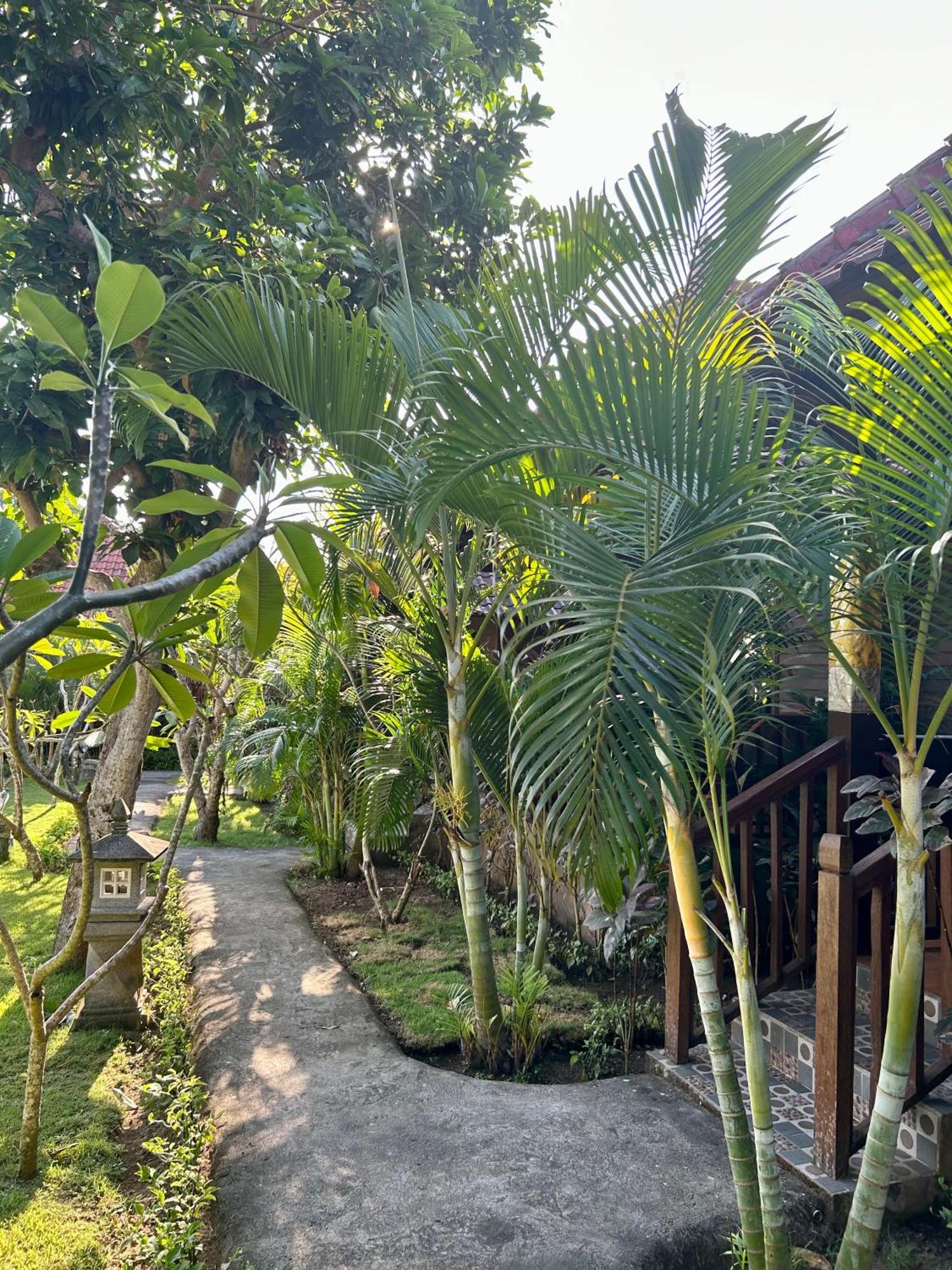 Island Garden Huts Lembongan B&B 외부 사진