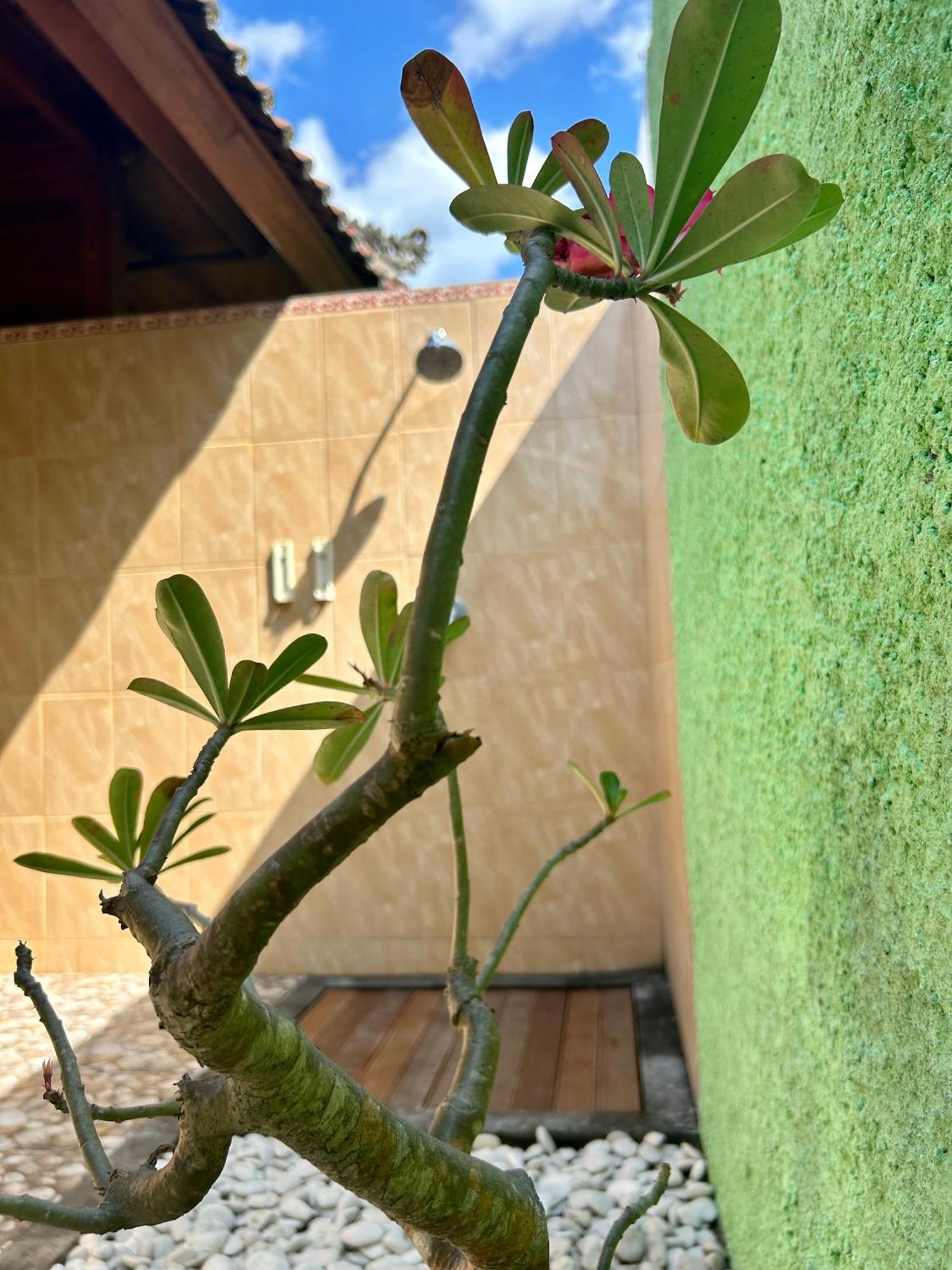 Island Garden Huts Lembongan B&B 외부 사진