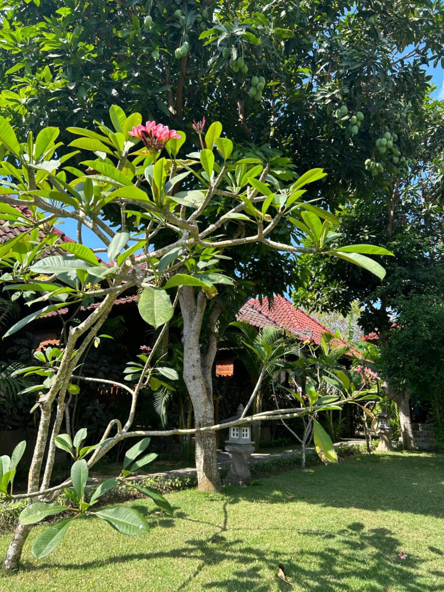 Island Garden Huts Lembongan B&B 외부 사진