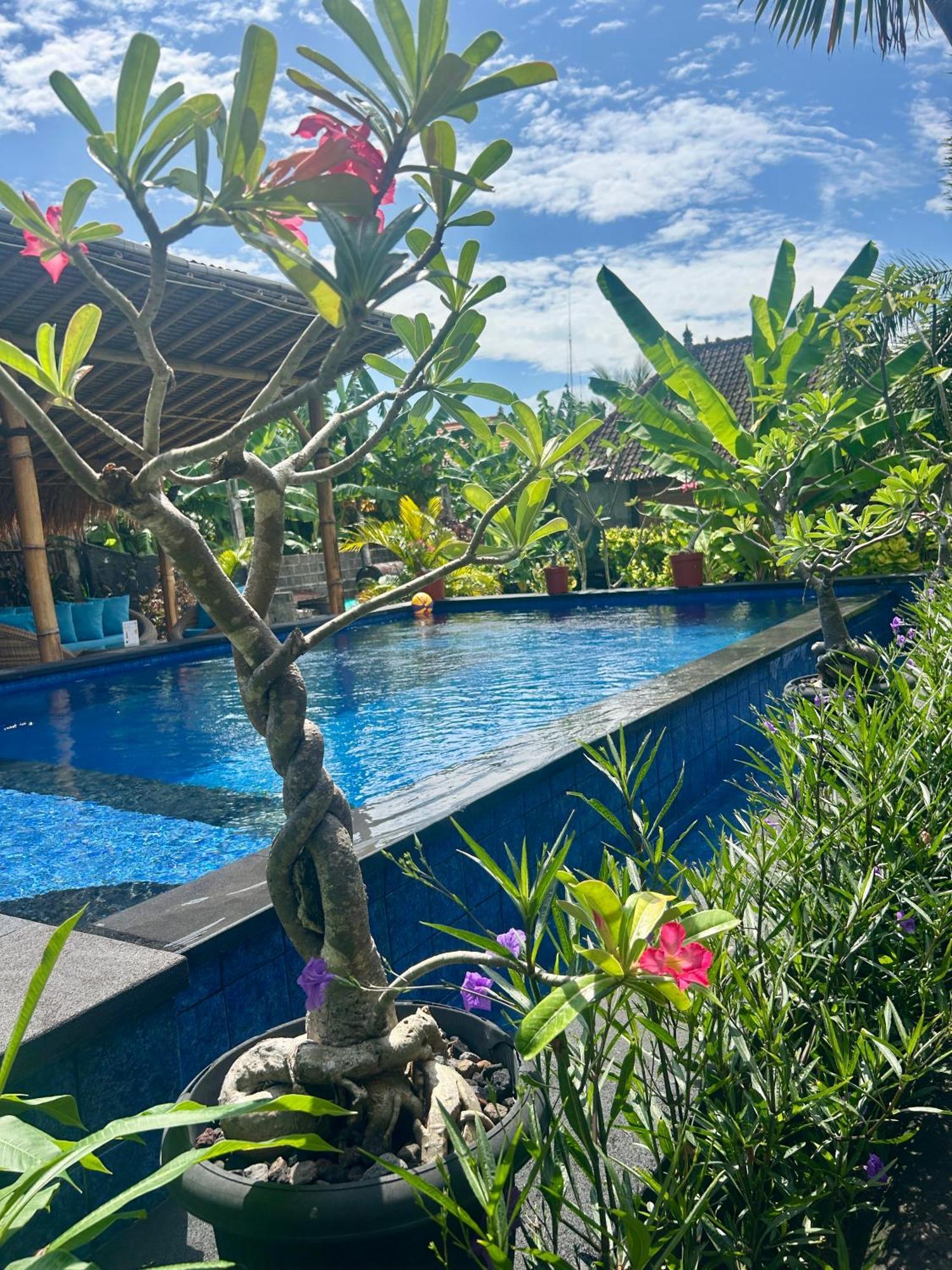 Island Garden Huts Lembongan B&B 외부 사진