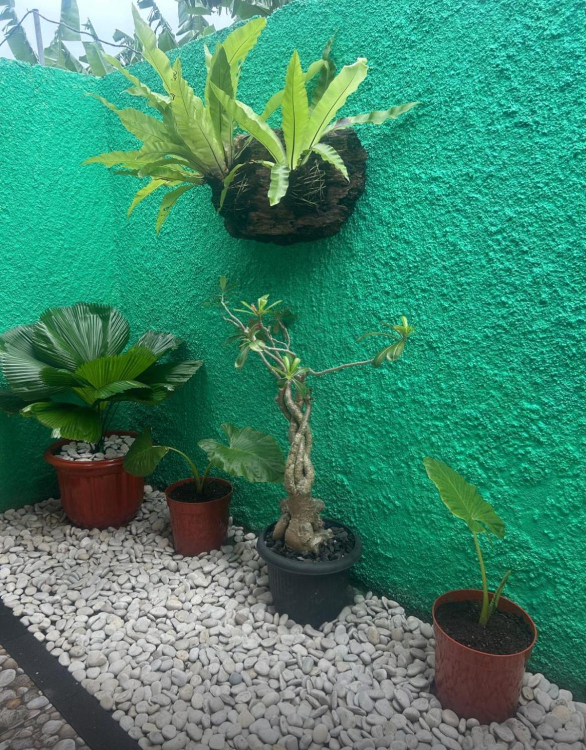 Island Garden Huts Lembongan B&B 외부 사진
